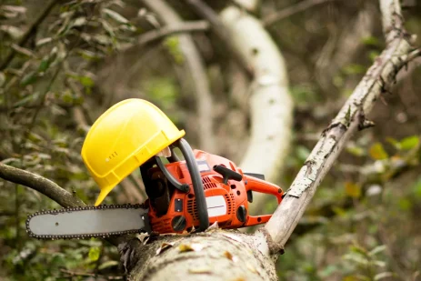 tronconneuse-echo-echo-tronconneuse-decouvrez-les-aspects-cles